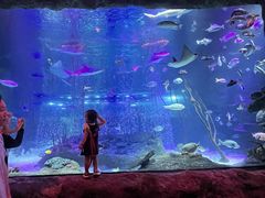 -沈阳海洋探索中心