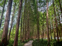 -云龙湖旅游景区