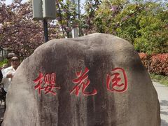 -高东镇樱花园