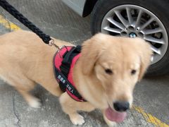 -欢唱KTV(映月湖环宇城店)