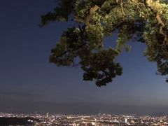 -草山夜未眠景观餐厅