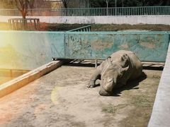 -哈尔滨北方森林动物园