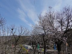 -南窖乡水峪村山情农家