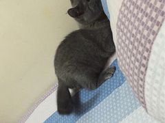 -北京博爱动物医院有限公司