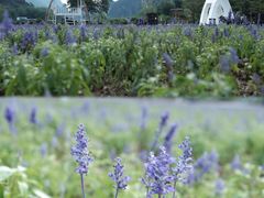 -英西峰林·洞天仙境