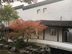 -秋霞圃