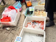 -黄埔古港