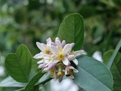 -二沙岛艺术公园