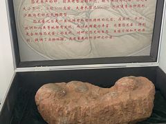 -中国第四纪冰川遗迹陈列馆