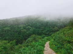 -妙峰山风景名胜区
