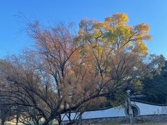 -承德避暑山庄景区