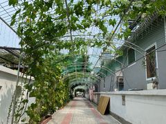 -大海别墅民宿农家院(十渡店)