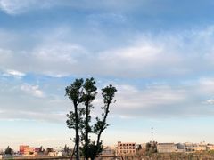 -彩色沙林风景区