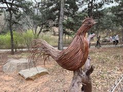 -北京西山国家森林公园