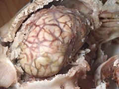 羊脑-洪记白水羊头(天坛店)