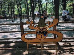 -北京奥林匹克公园