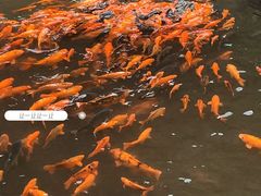 -刘伯温故里景区百丈漈