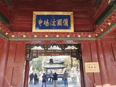 -护国法轮寺