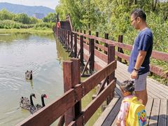 -长兴太湖图影湿地文化园