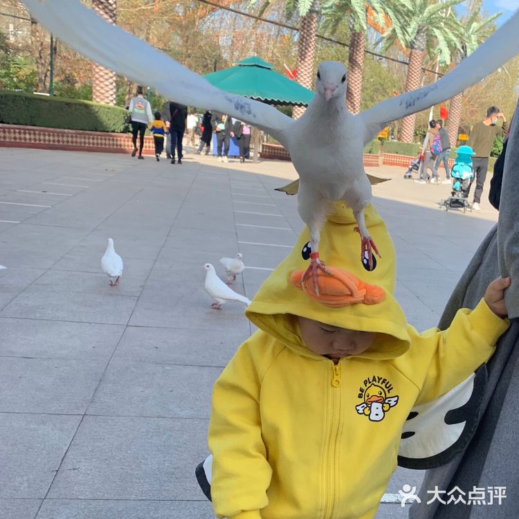 秋日遛娃海洋馆一日游