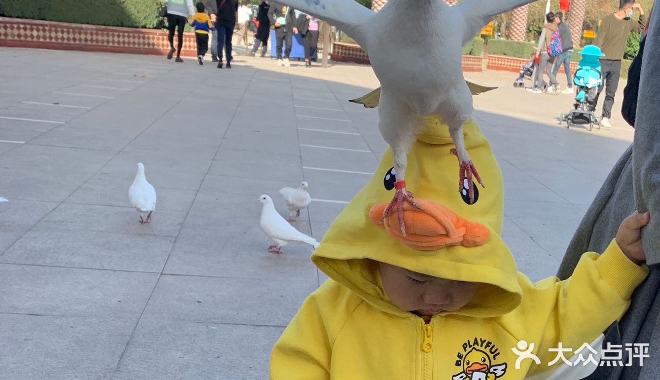 秋日遛娃海洋馆一日游