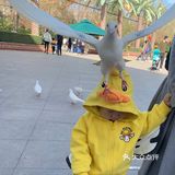 秋日遛娃海洋馆一日游