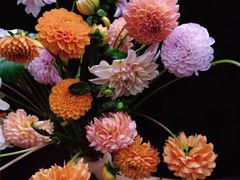 -花邻FloweringLife花艺气球派对(武康大楼店)