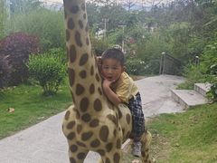 -泉州海丝野生动物世界