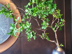 -潇湘楼·二十四节气山野菜(亚运村店)