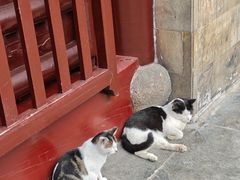 -西园寺素食(西园弄戒幢律寺店)