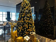-长沙尼依格罗酒店