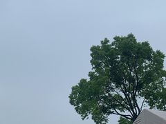 -龙坞茶村