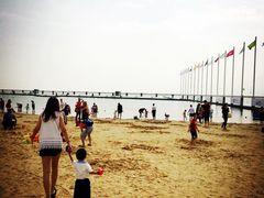 -碧海金沙
