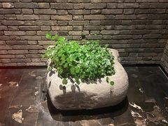 -鼎膳常火锅(华阳店)