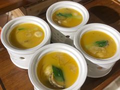 -裕龙汤泉