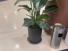 -中国民生银行(上海分行营业部)