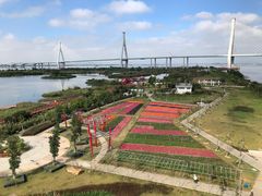 -芒洲湿地公园