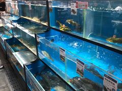 水产区-盒马鲜生(曜一城店)