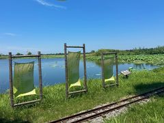 -洪湖生态旅游区