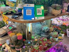 -双季花艺园艺市场(浦东店)
