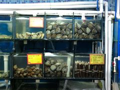 水产区-蚝专家(北滘店)