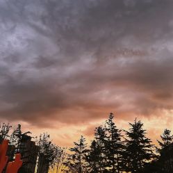 -大连市妇女儿童医疗中心