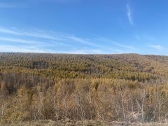 -塞罕坝国家级自然保护区