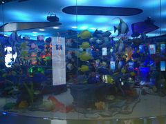 -成都泰迪熊博物馆