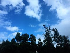 -The Lounge大堂酒廊·咖啡·沙拉·下午茶(金茂深圳JW万豪酒店)