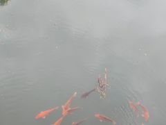 -五泄景区