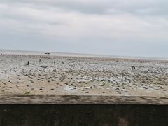 -北海金海湾红树林生态旅游区