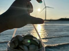 -启东黄金海滩景区