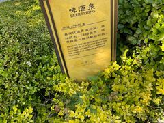 -大连金石滩绿发温泉假日酒店