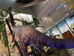 -湖南省地质博物馆